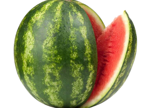 water-melon-768x768